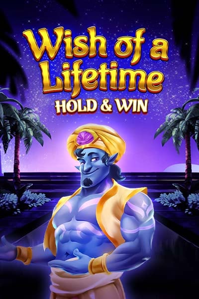 Wish of a Lifetime